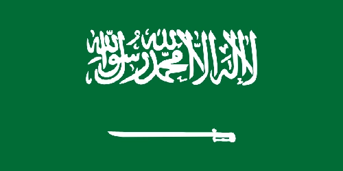 Scopus publication support in Saudi Arabia